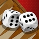 12_Backgammon_Multiplayer