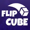 3304_Flip_Cube